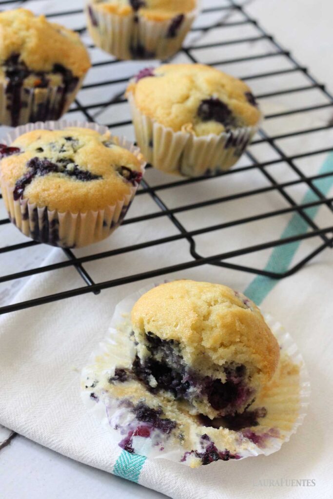 Easy Blueberry Muffins Recipe