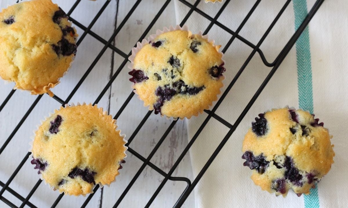 four blueberry muffins in a cooling rack
