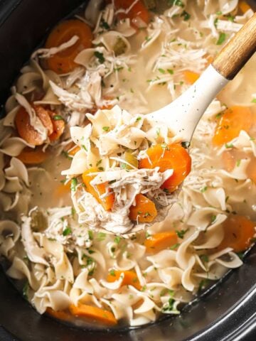 overhead view of chicken noodle soup inside a slow cooker being lifted in a ladle made with rotisserie chicken, egg noodles, carrots, celery, and a rich broth