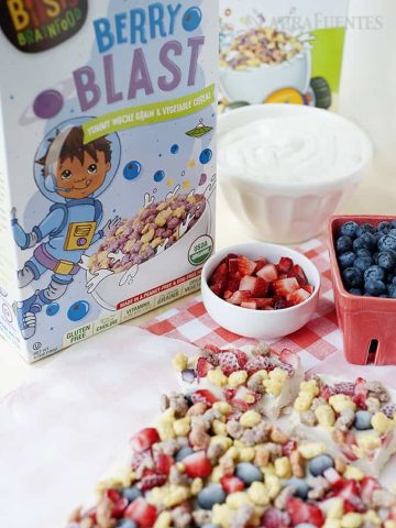 Frozen Yogurt Bark with Cereal and Fruit: the perfect cool snack on a hot day and after school! Quick and easy to make, and it's great to keep in the freezer.