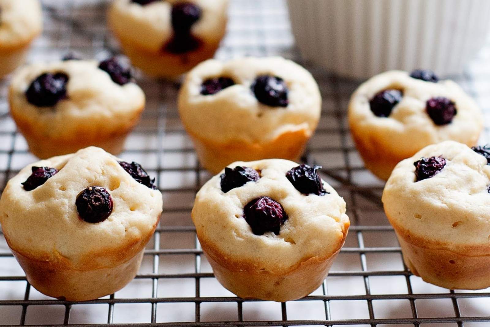 blueberry pancake bites on a cooling rack.