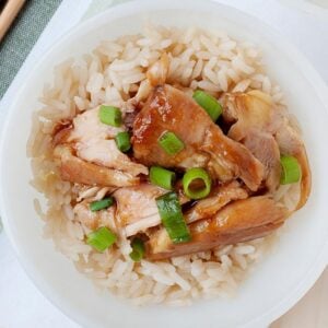 top view of a bowl of teriyaki chicken with rice