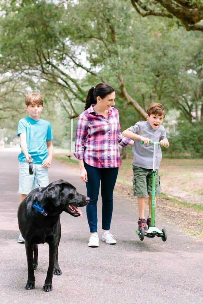 Balanced lifestyle with dogs