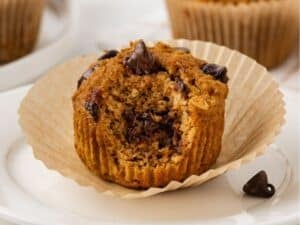 pumpkin protein muffin