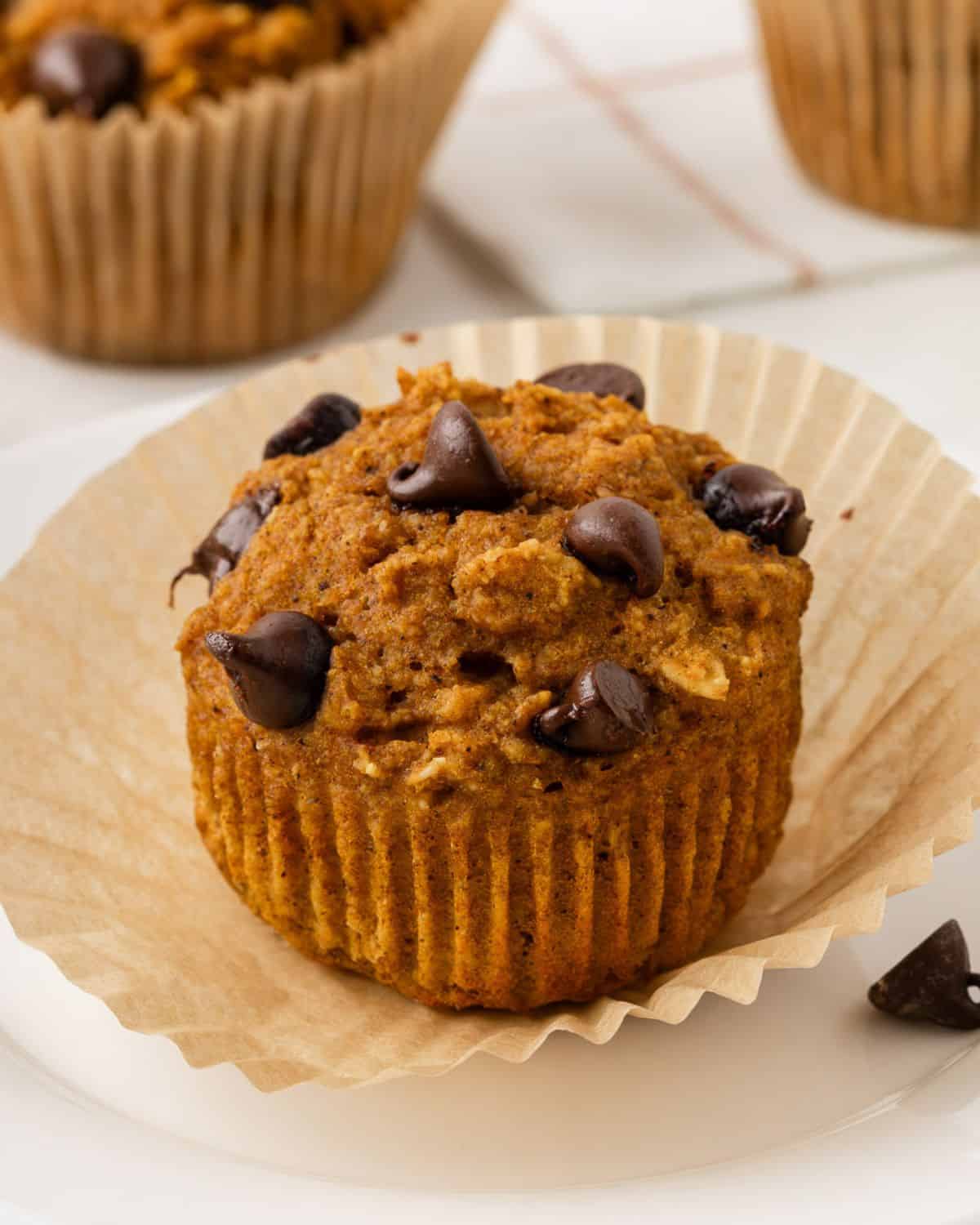 closeup of pumpkin chocolate chip protein muffins
