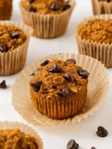 pumpkin chocolate chip protein muffins