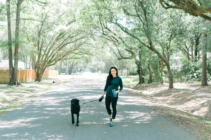 Balanced lifestyle with dogs