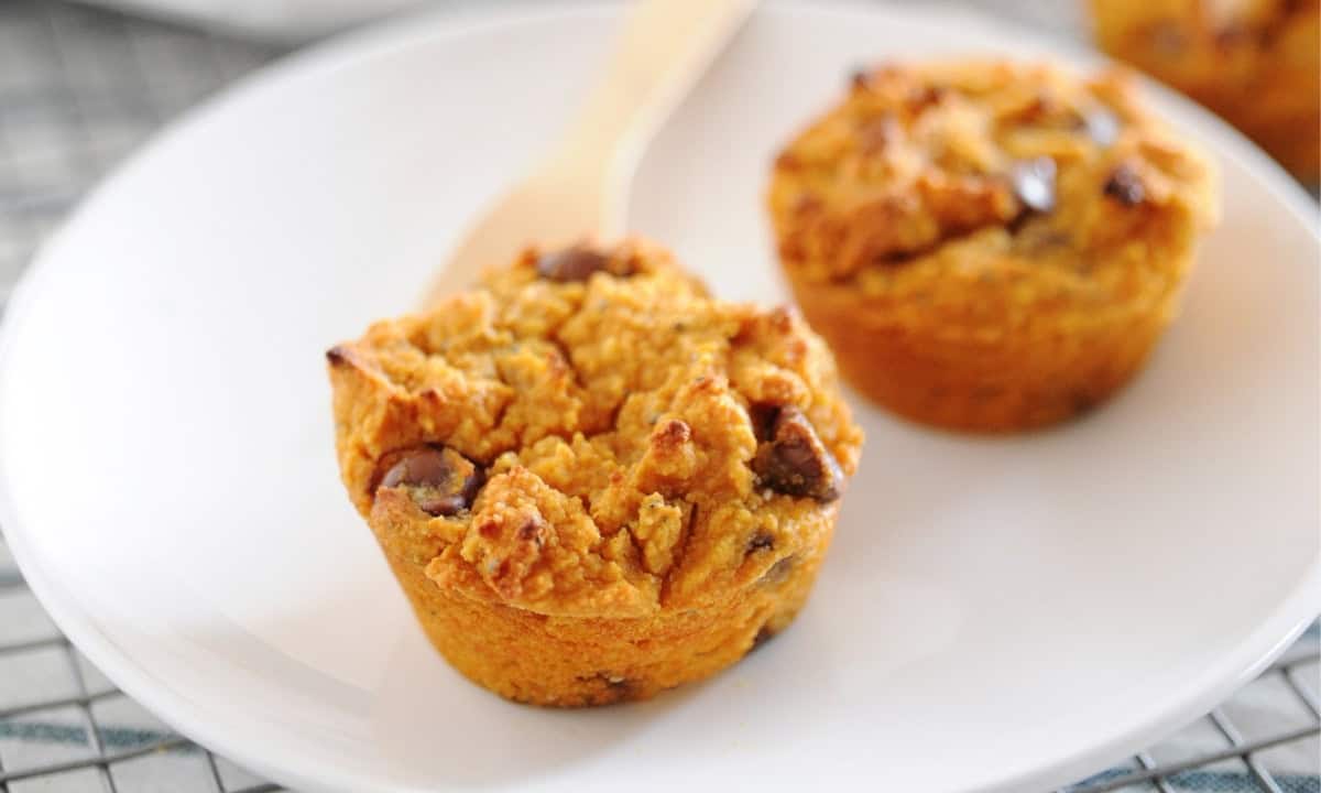 two pumpkin protein muffins with chocolate chips on a plate
