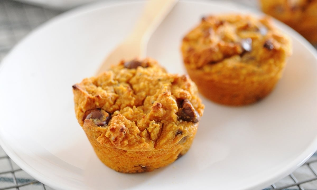 two pumpkin protein muffins with chocolate chips