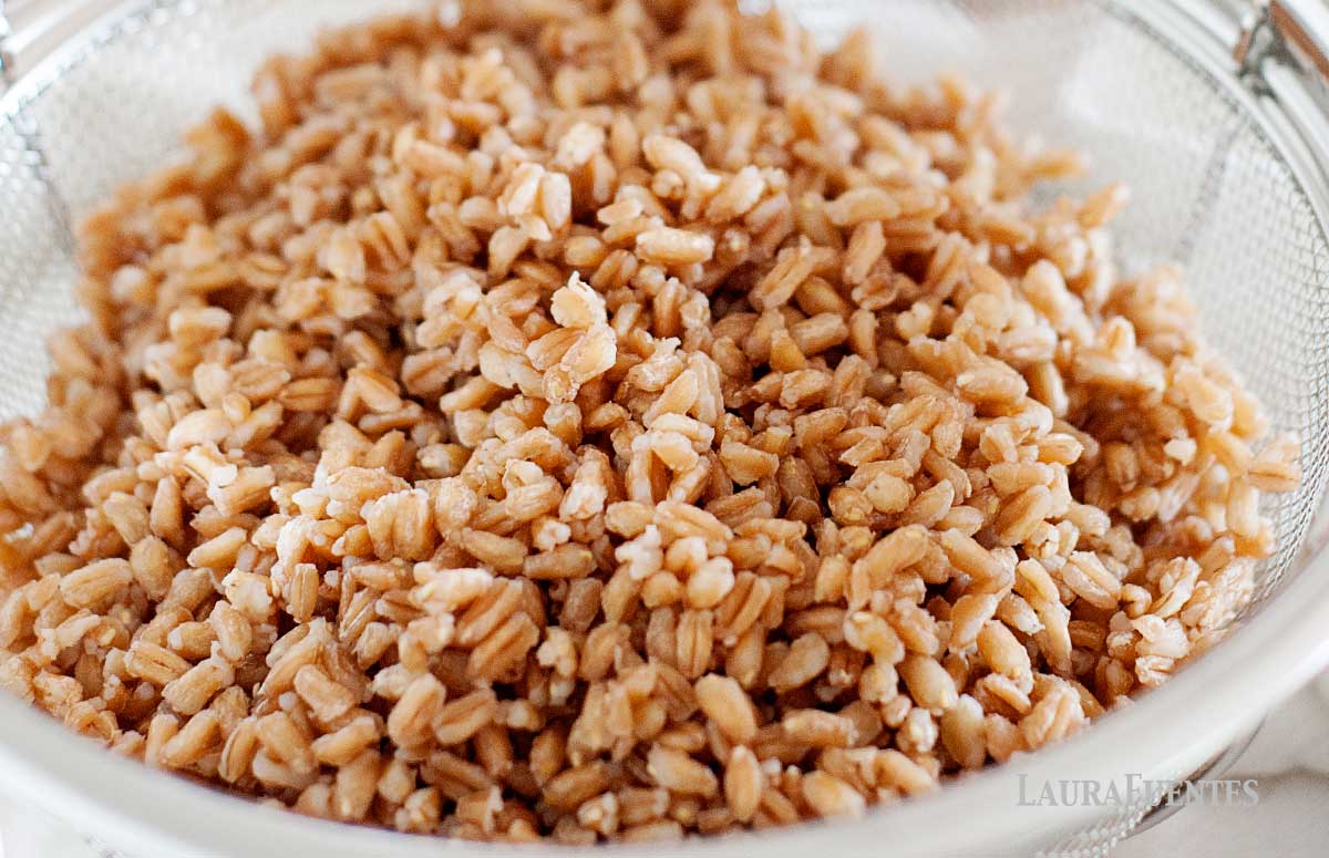 large bowl of farro
