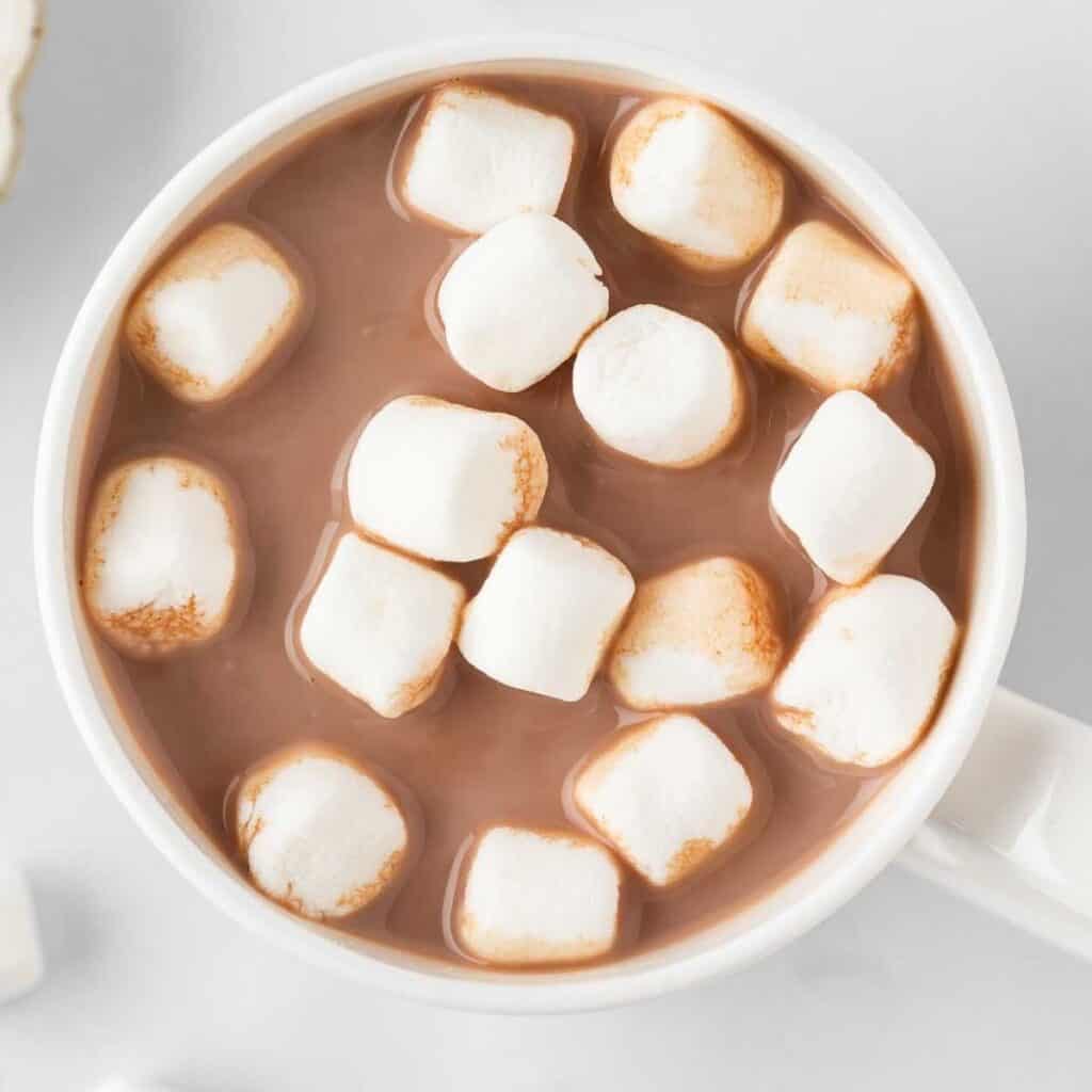 overhead view of a cup of homemade hot cocoa topped with mini marshmallows