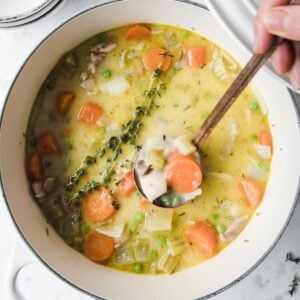 a large pot of chicken stew