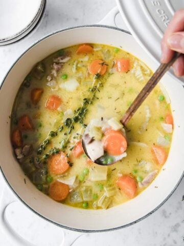 a large pot of chicken stew