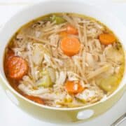a bowl of turkey noodle soup
