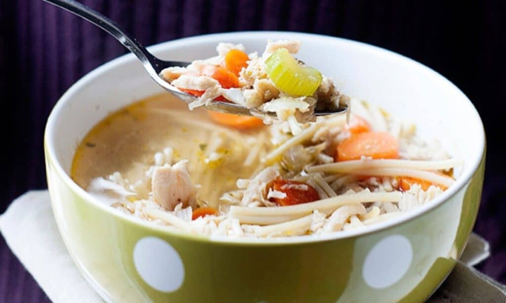 a bowl of turkey noodle soup