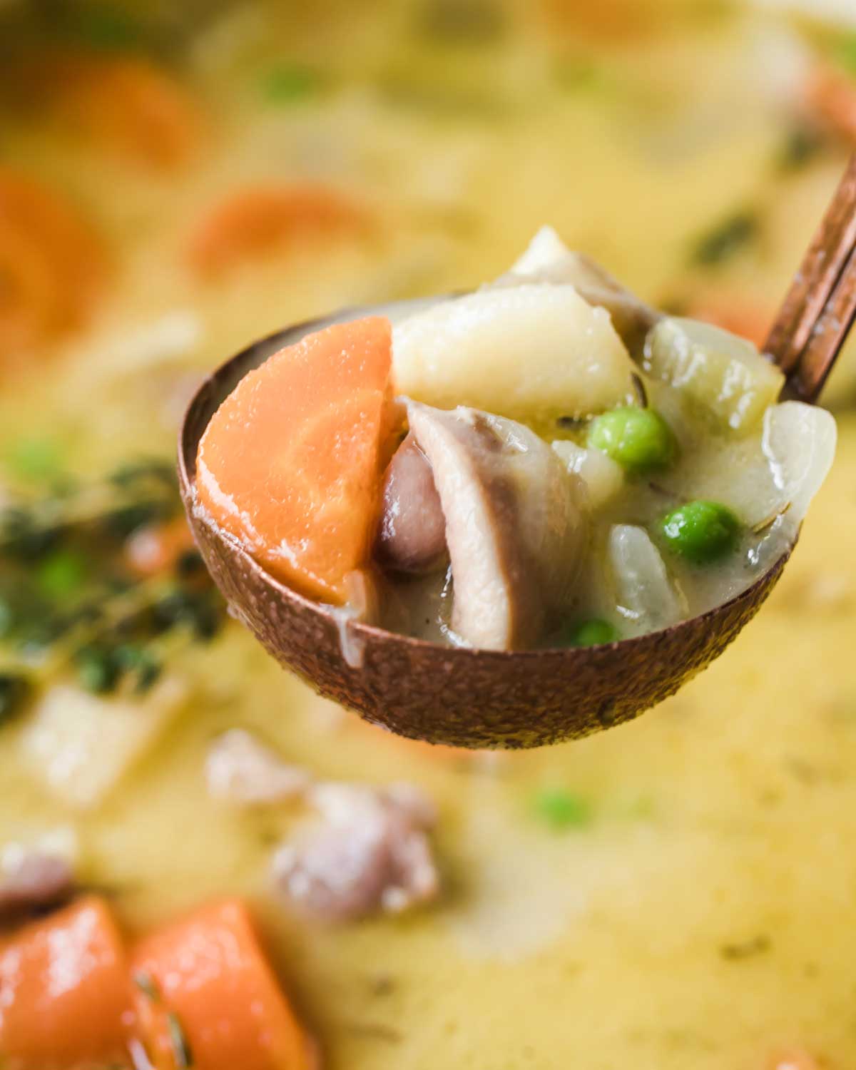 close up of chicken stew with carrots and peas in a ladle being served out of the crockpot