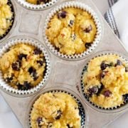 blueberry muffins in a muffin tin