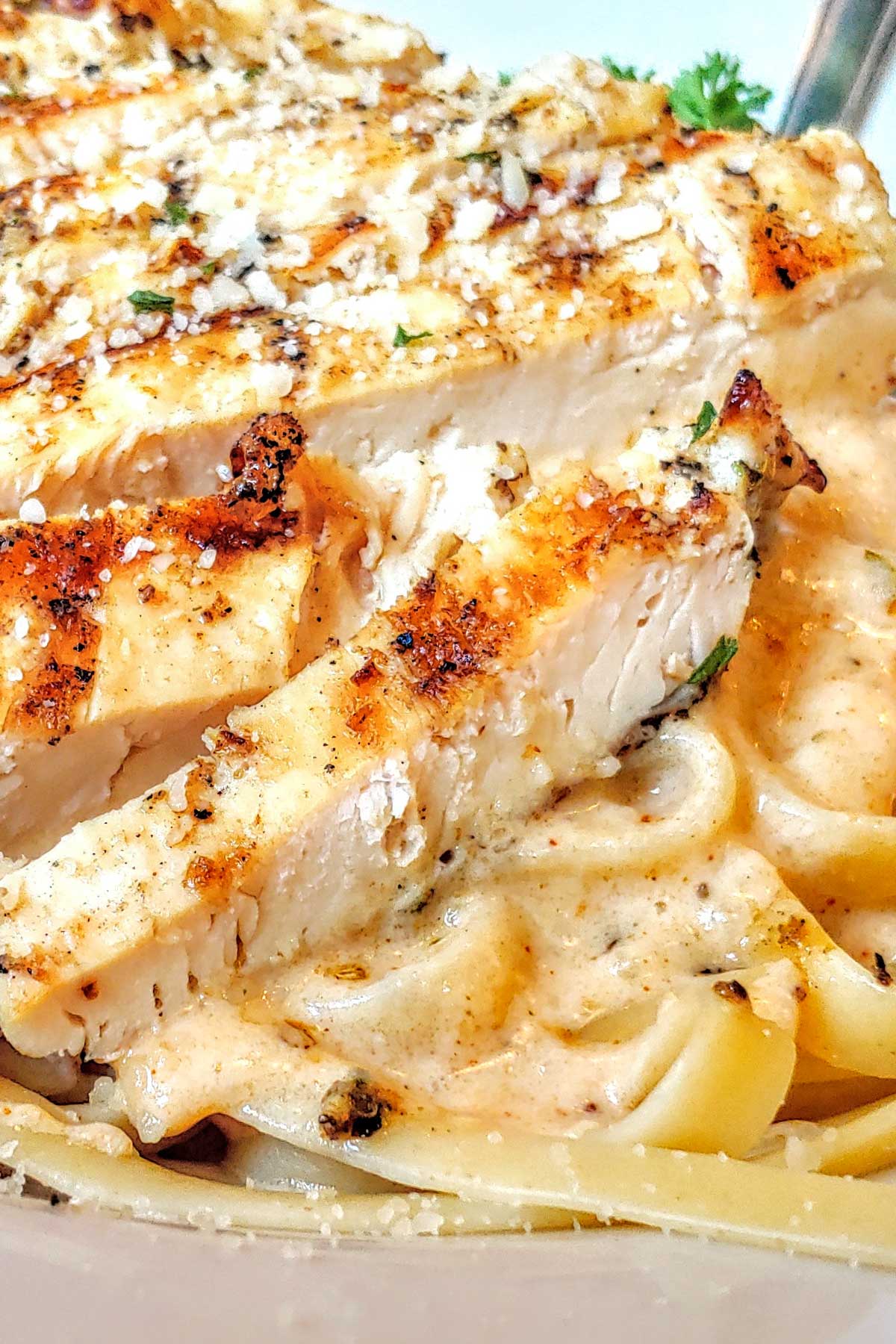 grilled blackened chicken sliced on top of alfredo pasta