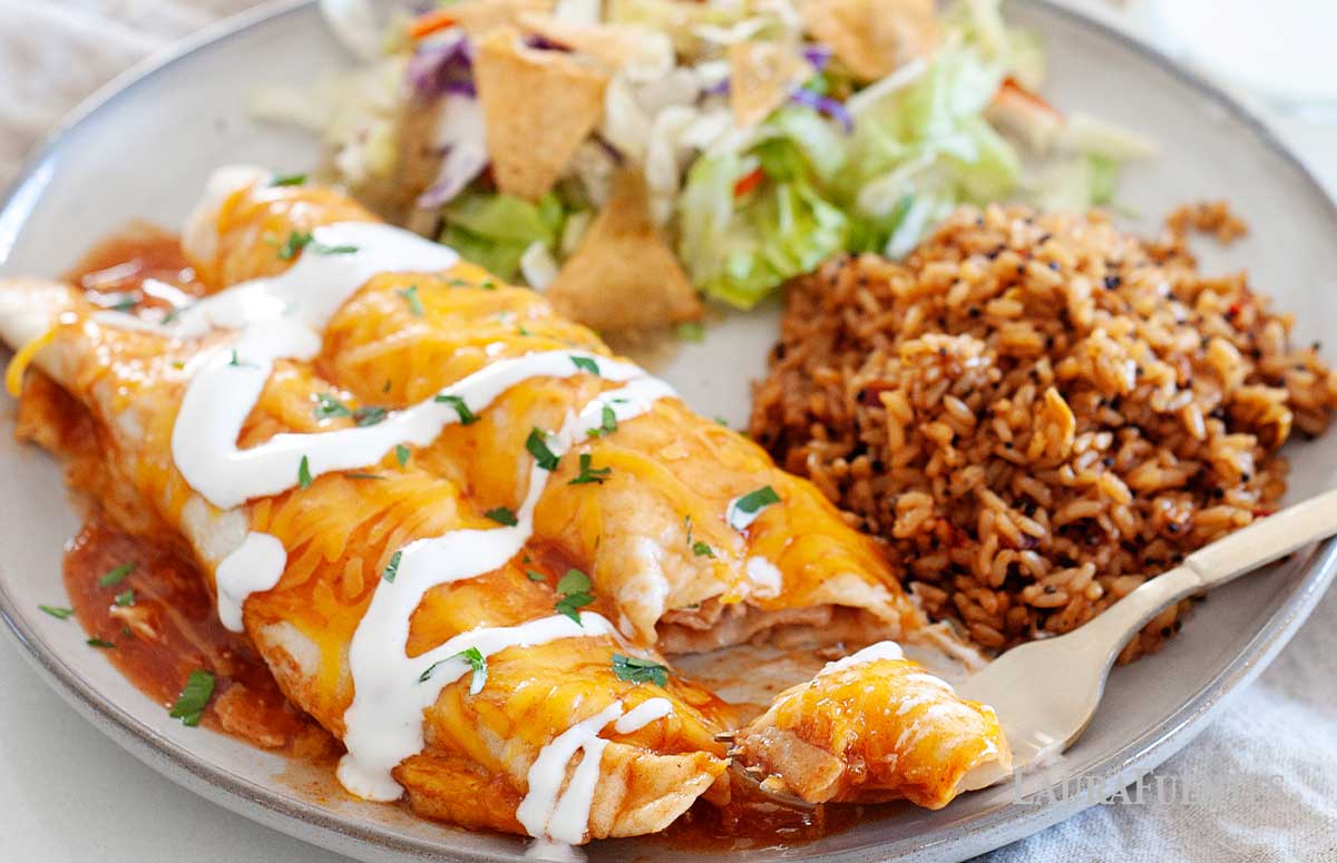 a plate with rotisserie chicken enchiladas, Mexican rice, and tortilla strip salad.