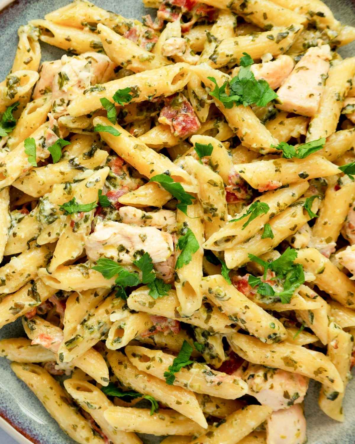 close up view pasta with rotisserie chicken with fresh herbs