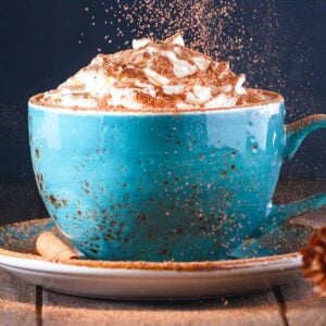 blue mug of hot chocolate topped with cinnamon and whipped cream