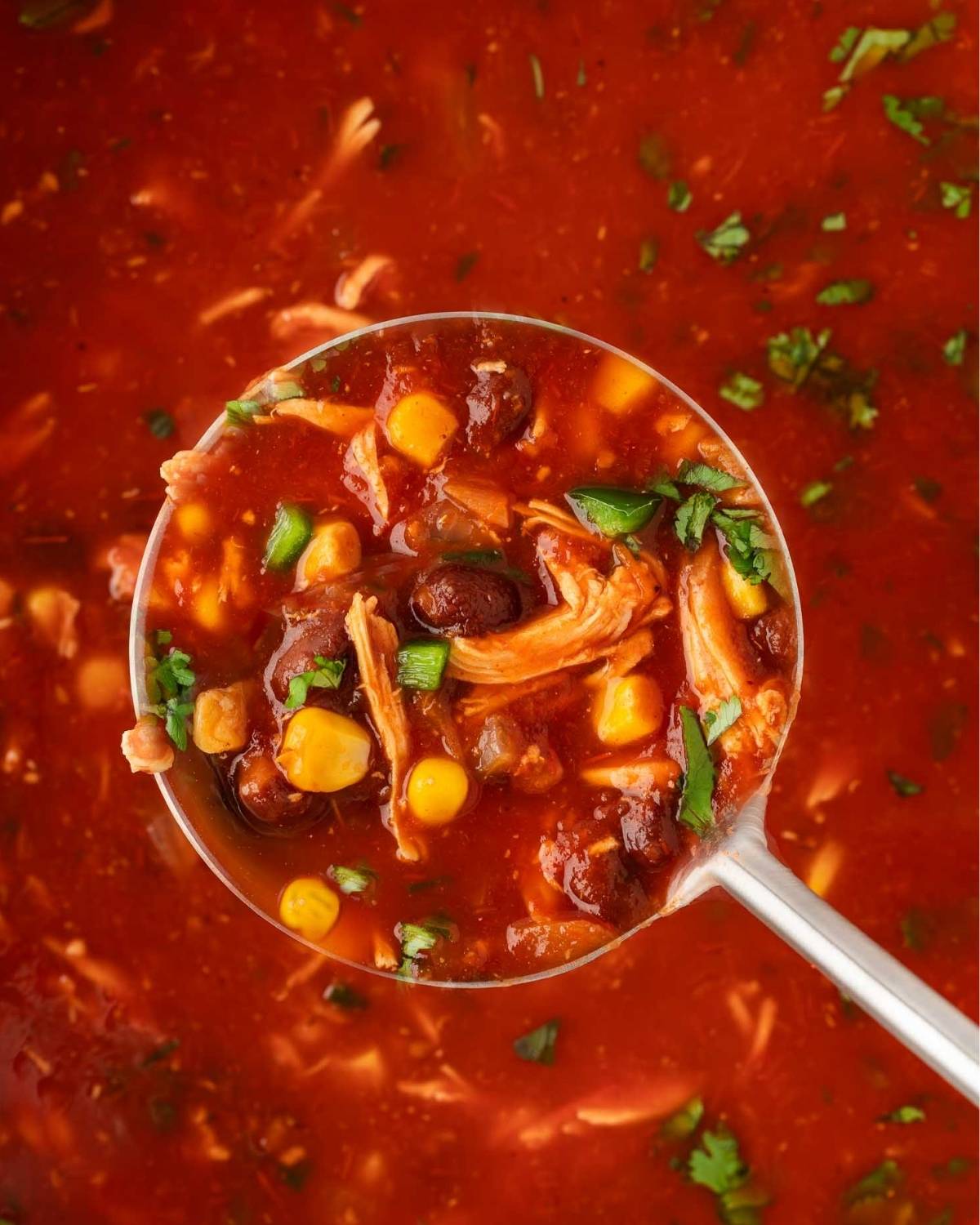 ladle filled with chicken tortilla soup (red tomato base, corn, black beans)