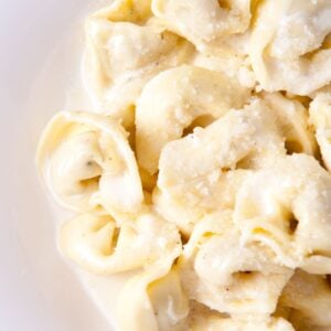 close up of tortellini alfredo