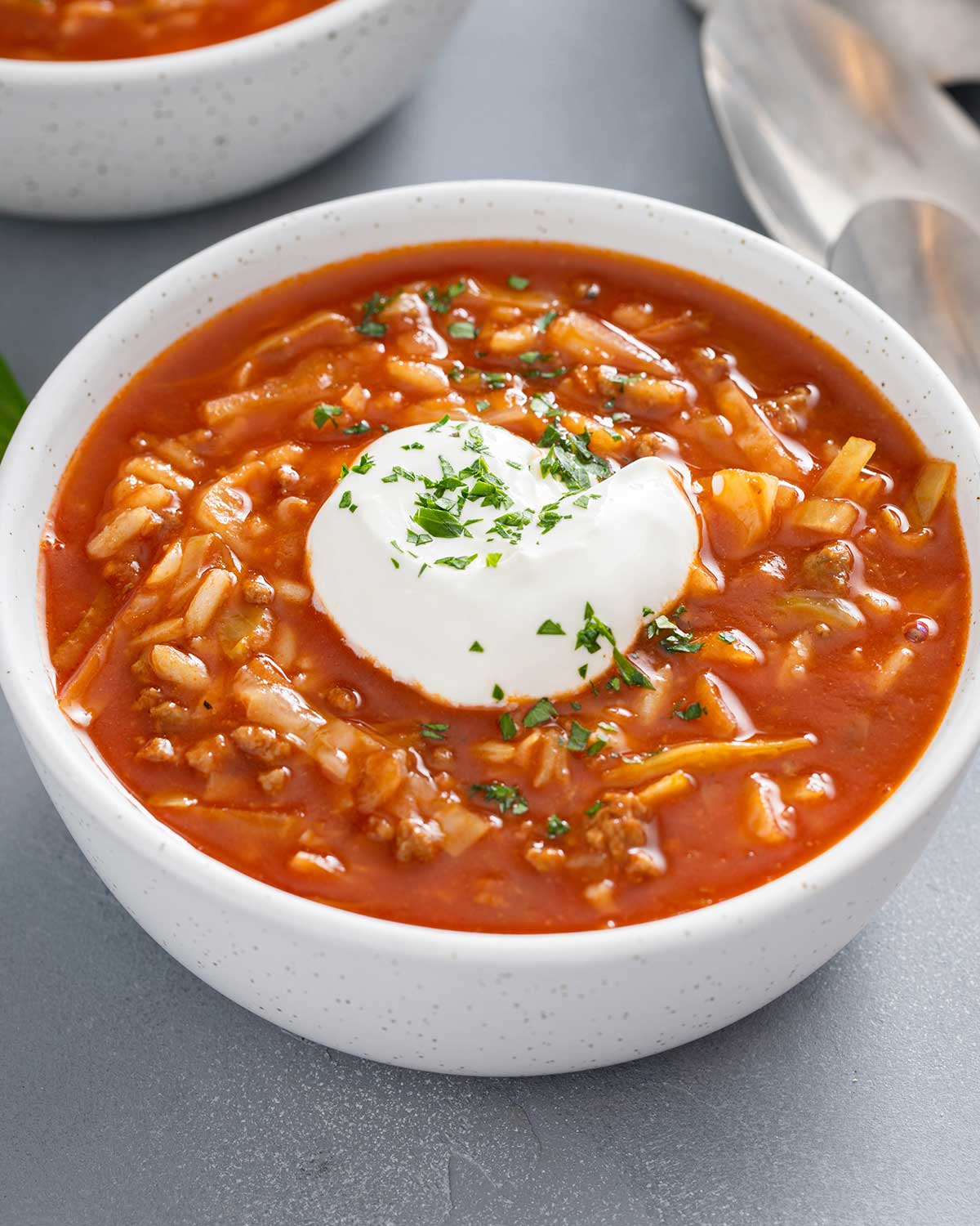 cabbage tomato soup with meat in a bowl