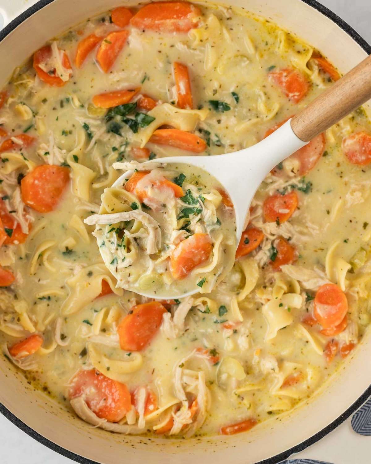 laddling creamy chicken noodle soup out of a pot. Creamy broth, egg noodles, shredded chicken, chunky pieces of carrots