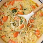 overhead view of a hearty bowl of creamy chicken noodle soup with creamy broth, egg noodles, shredded chicken, and chunky pieces of carrots