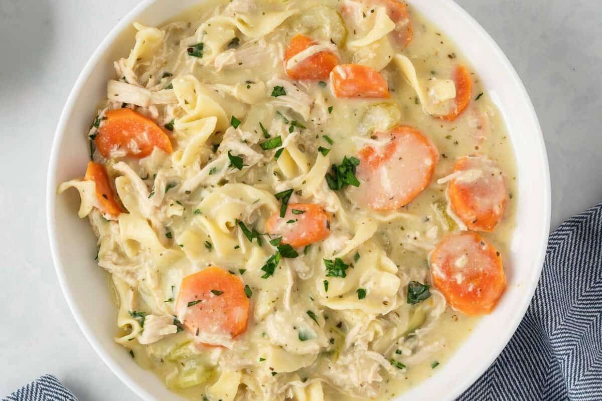 overhead view of a hearty bowl of creamy chicken noodle soup with creamy broth, egg noodles, shredded chicken, and chunky pieces of carrots