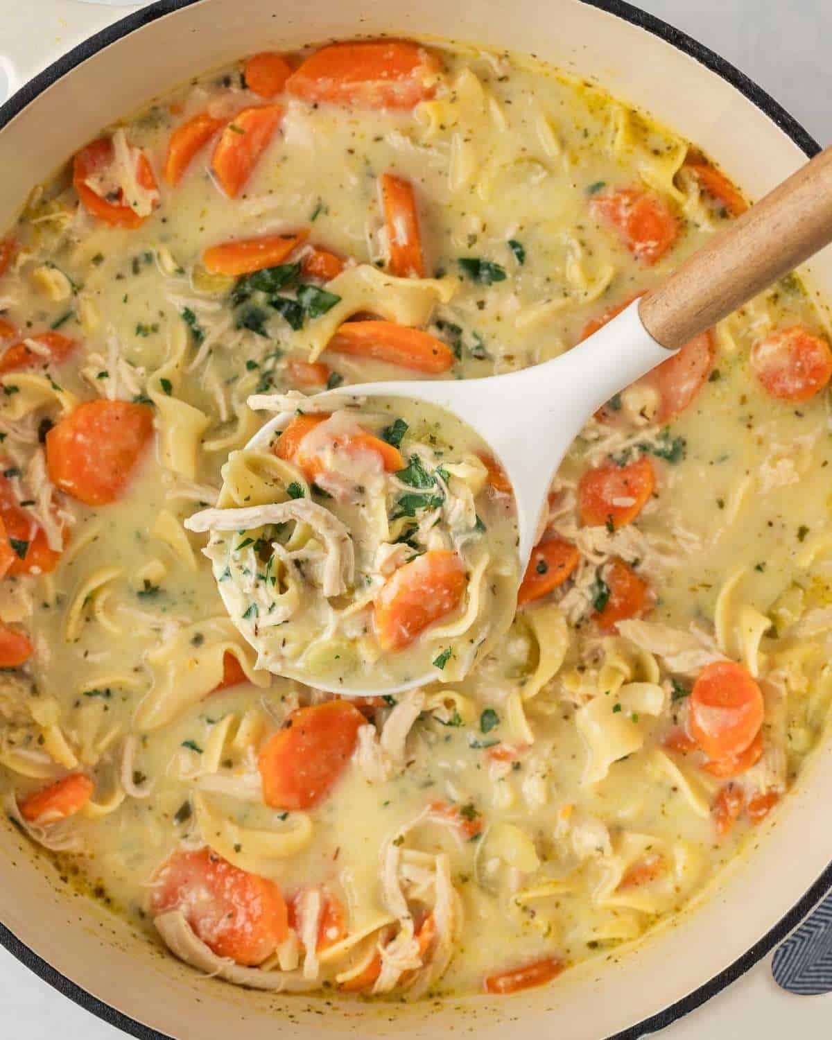 a pot with overhead view of a hearty bowl of creamy chicken noodle soup with creamy broth, egg noodles, shredded chicken, and chunky pieces of carrots