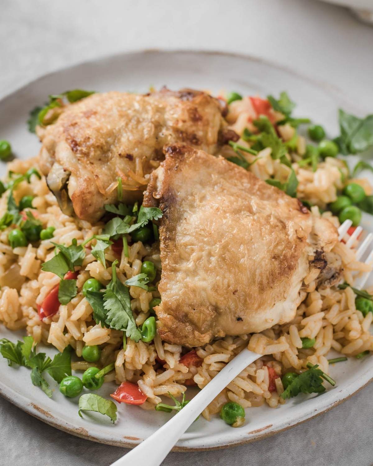 chicken thighs and rice served on a plate