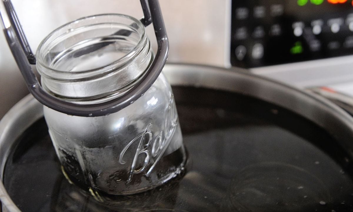 close up image of lowering a ball jar inside a canner filled with simmering water to heat the glass jar to prevent temperature changes and possible cracking of glass