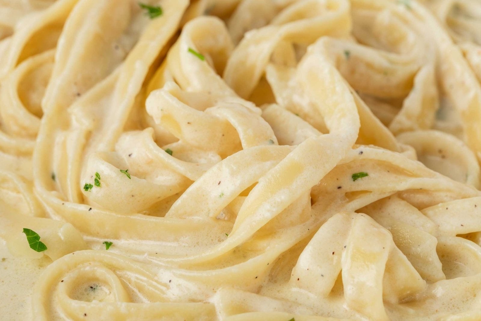 Close-up of fettuccine pasta coated with creamy Alfredo sauce