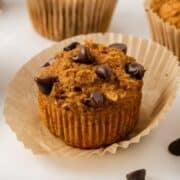 close up of a pumpkin chocolate chip muffin