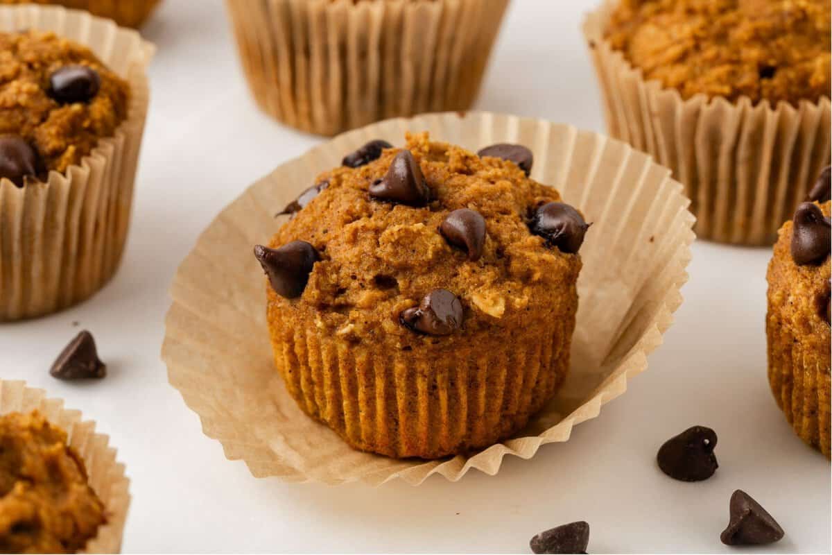 front view of a pumpkin chocolate chip muffin