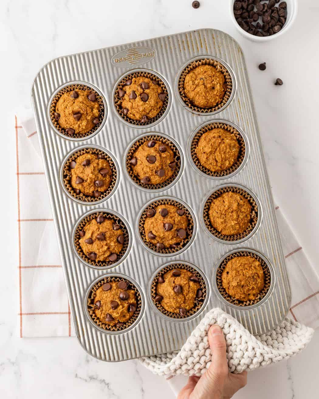 overhead view of pumpkin chocolate chip muffins in a baking pan freshly baked out of the oven