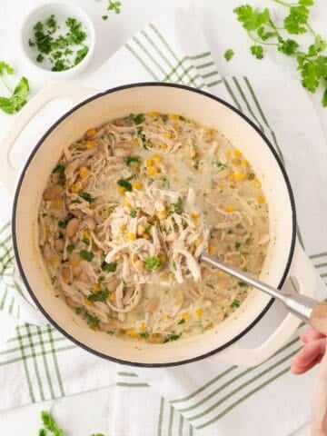 overhead view of a pot of white chicken chili and a hand grabbing a spoonful of it