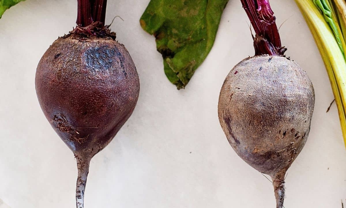 close up of two whole beets side by side about medium size and almost the same size